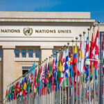 The United Nations : Failure, Success or In-Between