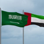 Some UAE companies pull out of Saudi defence show as Gulf rift spills into business